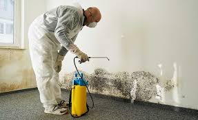 Best Mold Remediation for Healthcare Facilities  in Beverly Hills, CA