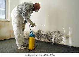 Best Mold Prevention Services  in Beverly Hills, CA